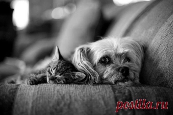 близость душ картинки: 16 тыс изображений найдено в Яндекс.Картинках