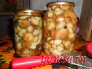 Маринованные маслята..