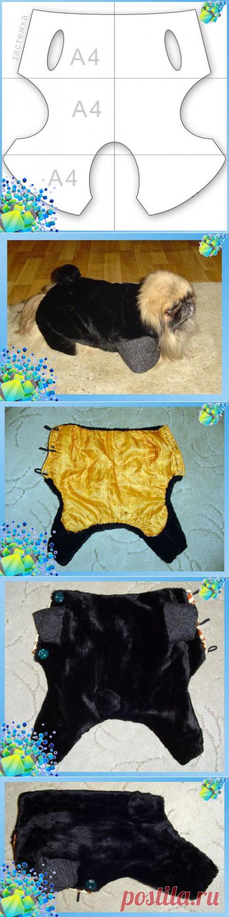 Шуба для собаки на зиму