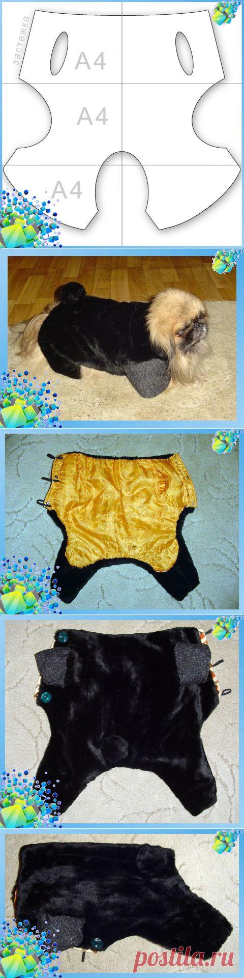 Шуба для собаки на зиму