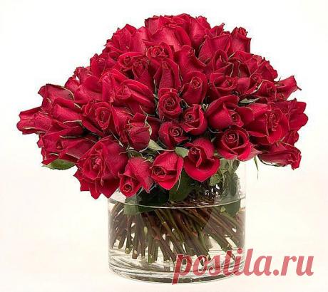 Для моих друзей.