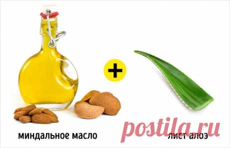 5 свойств алоэ, ради которых стоит посадить его дома