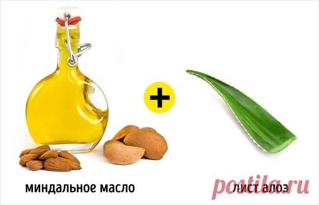 5 свойств алоэ, ради которых стоит посадить его дома
