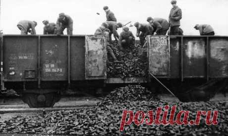(45) Одноклассники