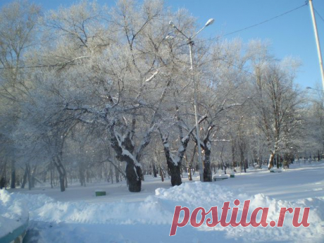 Мороз и солнце