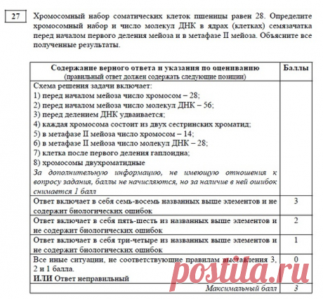 Запись Натальи Ивановой ТЕСТОВОЕ ЗАДАНИЕ 2020 ЛИНИИ 27 ФИПИ С ЭТАЛОННЫМ ОТВЕТОМ 27. Хромосомный набор соматических клеток пшеницы равен 28. Определите хромосомный набор и число молекул ДНК в ядрах (клетках) семязачатка перед началом первого деления мейоза и в метафазе II мейоза. Объясните все полученные результаты. #ЕГЭбиология #биология