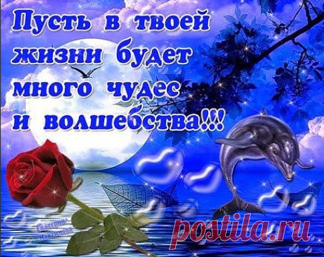 * * * * * * * * * * * *