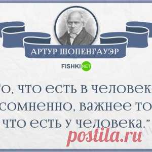 25 метких цитат Шопенгауэра