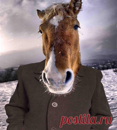 Порция юмора