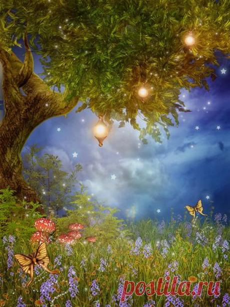 Pinterest