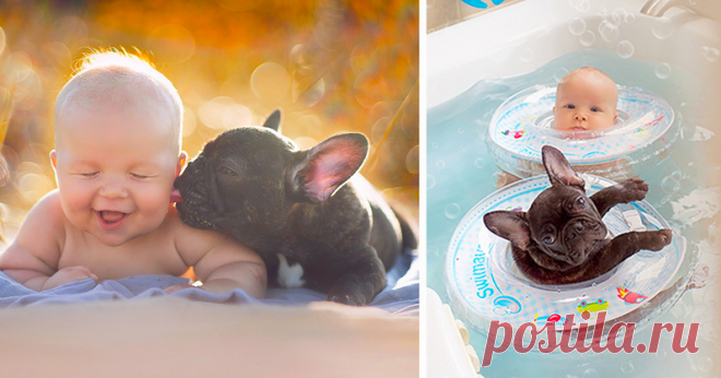 Понимают друг друга с полувзгляда и вообще без слов 🐶 👶