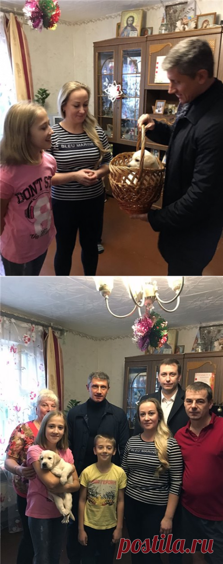 Путин подарил щенка лабрадора школьнице. - Интересное и необычное - ГОРНИЦА -блоги, форум, новости, общение