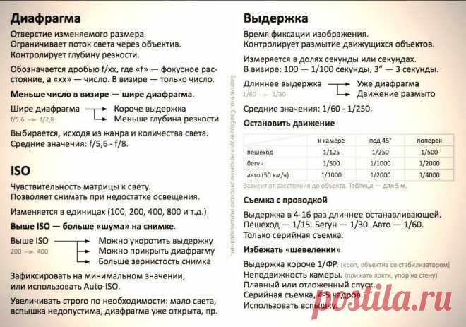 Да пребудет с нами Светосила!