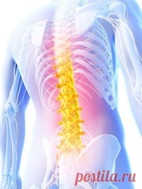 Остеохондроз: взгляд с позиций классической неврологии. 

Остеохондроз – привычный диагноз для почти каждого пациента, обращающегося с болью в спине/шее за медицинской помощью. 

Остеохондроз - излюбленное клише отечественных неврологов, под которое можно подвести любую боль, так или иначе связанную с позвоночником и почти любое проявление периферической неврологической симптоматики.
Показать полностью…