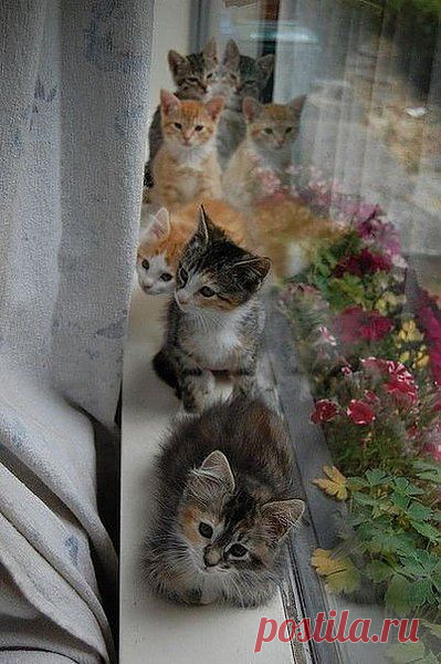 Мой Мир@Mail.Ru