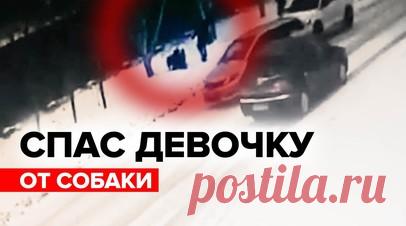 Спас водитель: собака набросилась на школьницу в Алтайском крае. Неравнодушный водитель отогнал собаку, которая едва не загрызла 15-летнюю девочку в Бийске (Алтайский край). Школьница возвращалась домой, когда на неё набросилось животное. Отбить ребёнка смог проезжавший мимо мужчина. Пострадавшую госпитализировали с рваными ранами. Прокуратура начала проверку. Читать далее
