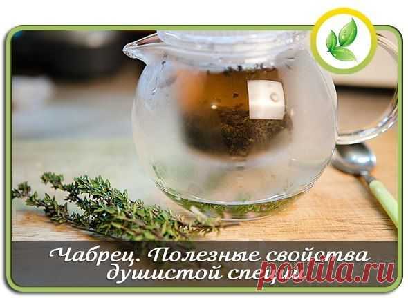 Чабрец. Полезные свойства душистой специи