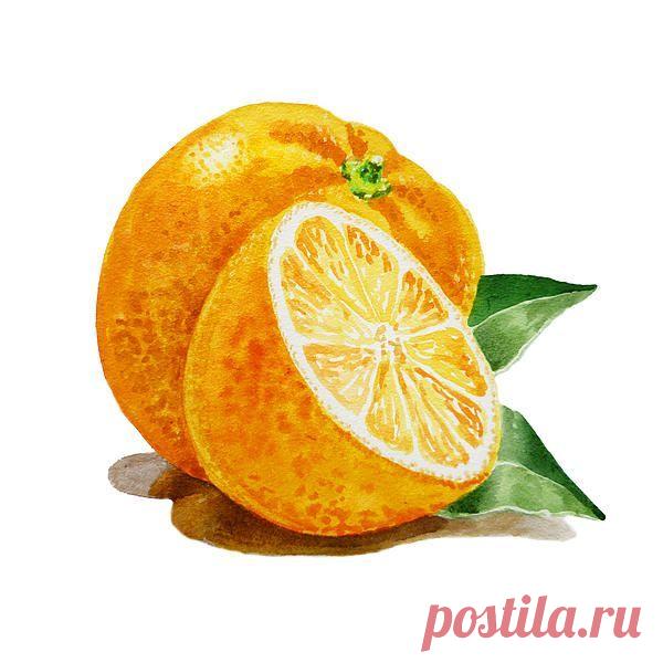 Динара Андержанова