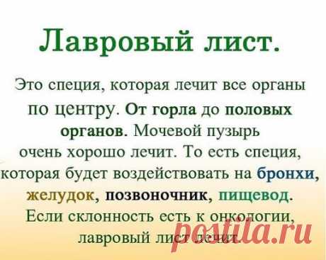 ЛАВРОВЫЙ ЛИСТ В ПОМОЩЬ
Именно остеохондроз является причиной боли в спине в 80% случаев
Для тех, у кого застарелый остеохондроз, лучше любых мазей из аптеки помогают средства на основе лаврового листа.
Вот отличные рецепты:
1) Лавровое масло. Залить стаканом оливкового масла 1 ст. ложку мелко нарезанных лавровых листьев и настаивать 15 дней в теплом месте. Лучше всего втирать масло в больные места на ночь, а потом тепло укутываться.
2) Настой. Взять 1 ч. ложку измельченных...
