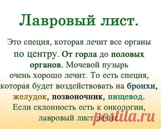 ЛАВРОВЫЙ ЛИСТ В ПОМОЩЬ
Именно остеохондроз является причиной боли в спине в 80% случаев
Для тех, у кого застарелый остеохондроз, лучше любых мазей из аптеки помогают средства на основе лаврового листа.
Вот отличные рецепты:
1) Лавровое масло. Залить стаканом оливкового масла 1 ст. ложку мелко нарезанных лавровых листьев и настаивать 15 дней в теплом месте. Лучше всего втирать масло в больные места на ночь, а потом тепло укутываться.
2) Настой. Взять 1 ч. ложку измельченных...