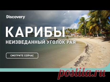 Карибы | Неизведанные острова | Discovery Channel
