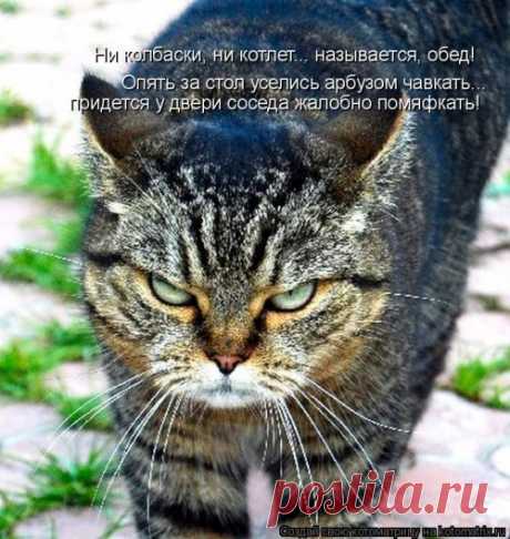 А Мурку можешь?