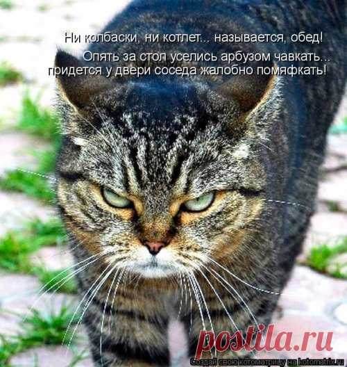 А Мурку можешь?