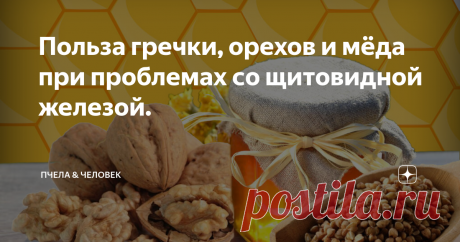 Польза гречки, орехов и мёда при проблемах со щитовидной железой. В одной из своих статей я уже затрагивал тему со щитовидной железой, так как сам столкнулся данной заболеванием, а точнее сказать моя супруга. Моей жене был поставлен диагноз - «АИТ щитовидной железы».