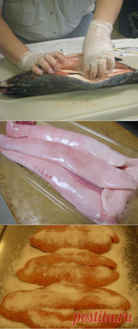 Молоки лососевых: польза и вред продукта, способ приготовления