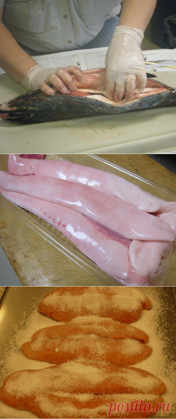 Молоки лососевых: польза и вред продукта, способ приготовления