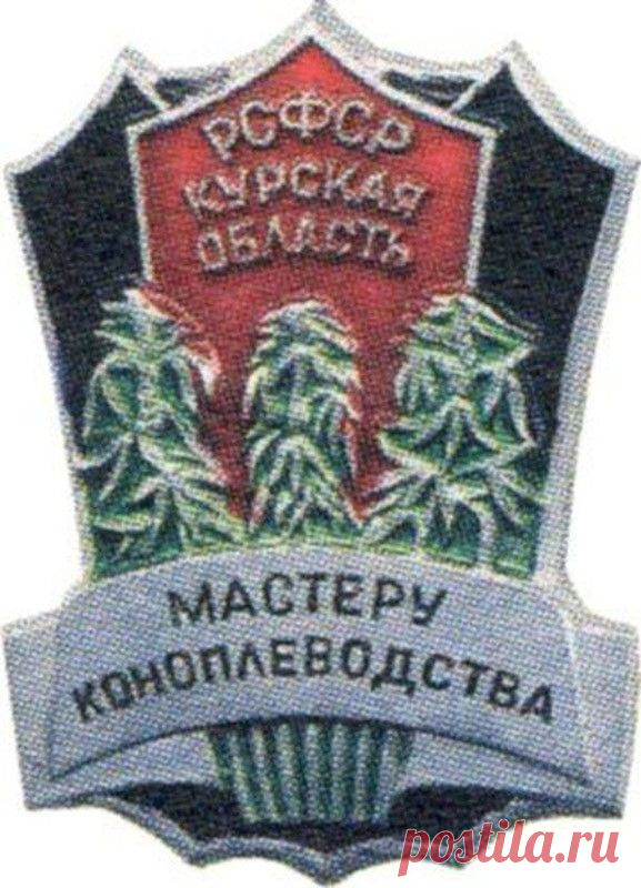 Что копили и собирали дети CCCP | MerCi