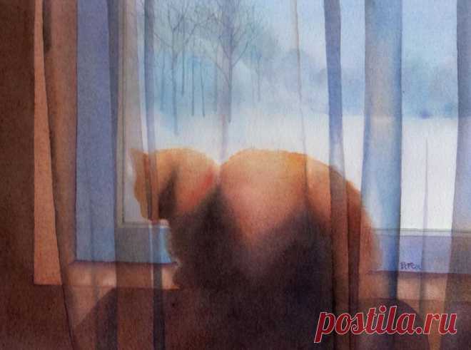 Барбара Фокс