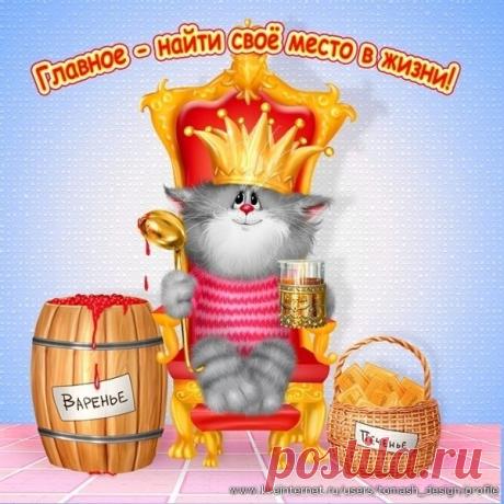 Позитивные коты от Алексея Долотова
