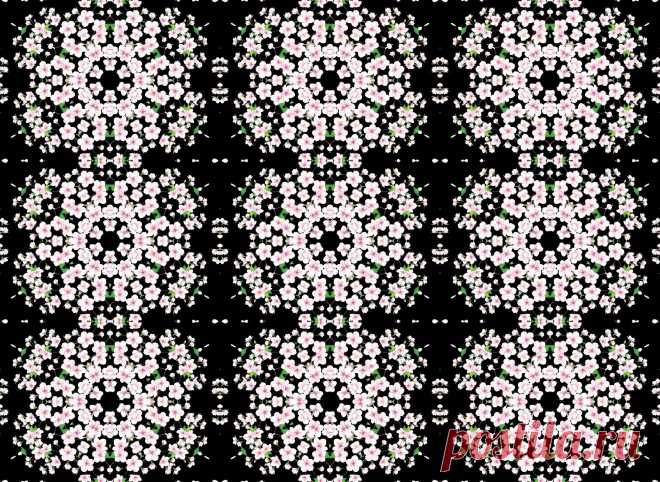 Seamless Wallpaper With Flowers  Free Stock Photo HD - Public Domain Pictures
