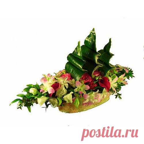 Заказать Бригантина c доставкой по Краснодару