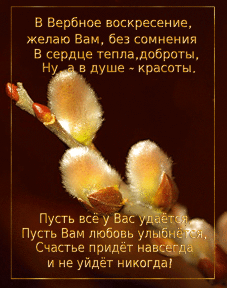 Открытка с вербой и стихами - С Вербным Воскресеньем - Открытки для поздравления