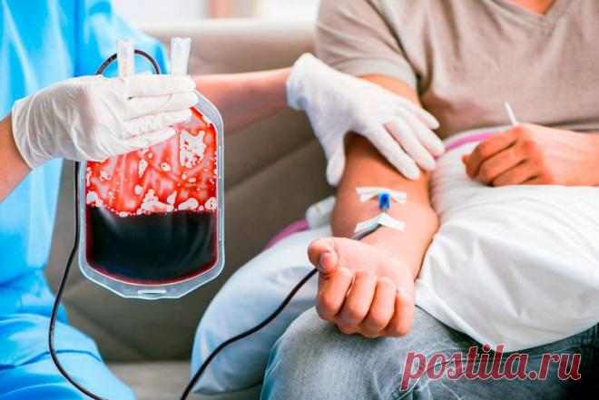 Применение гранулоцитного концентрата в трансфузиологии