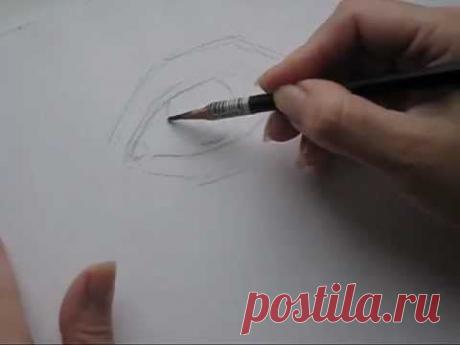 Как нарисовать живые глаза .