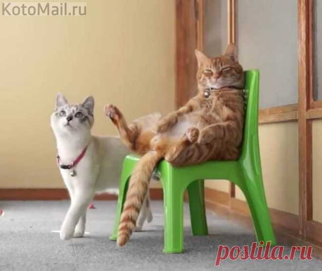 Стул для того, чтобы на нём сидеть.