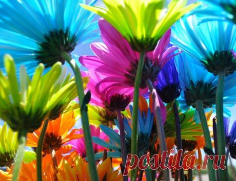 радужные картинки: 34 тыс изображений найдено в Яндекс.Картинках