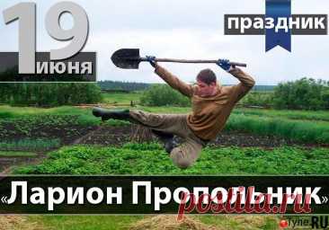 Пусть день святого Николая,
Вам мир и счастье принесет.
Пусть будут добрыми все вести,
К вам пусть удача в дом придет.