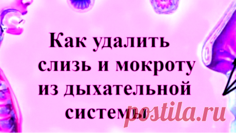 Как выгнать слизь и мокроту из горла и груди: 5 средств, которые работают - Women Beauty Club Основными причинами кашля и проблем с дыханием являются назальная и дыхательная обструкция,...