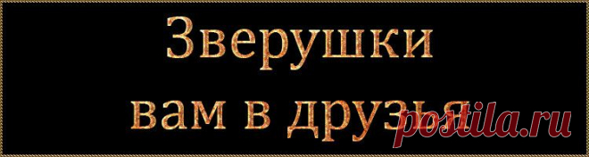 Флеш зверушки.