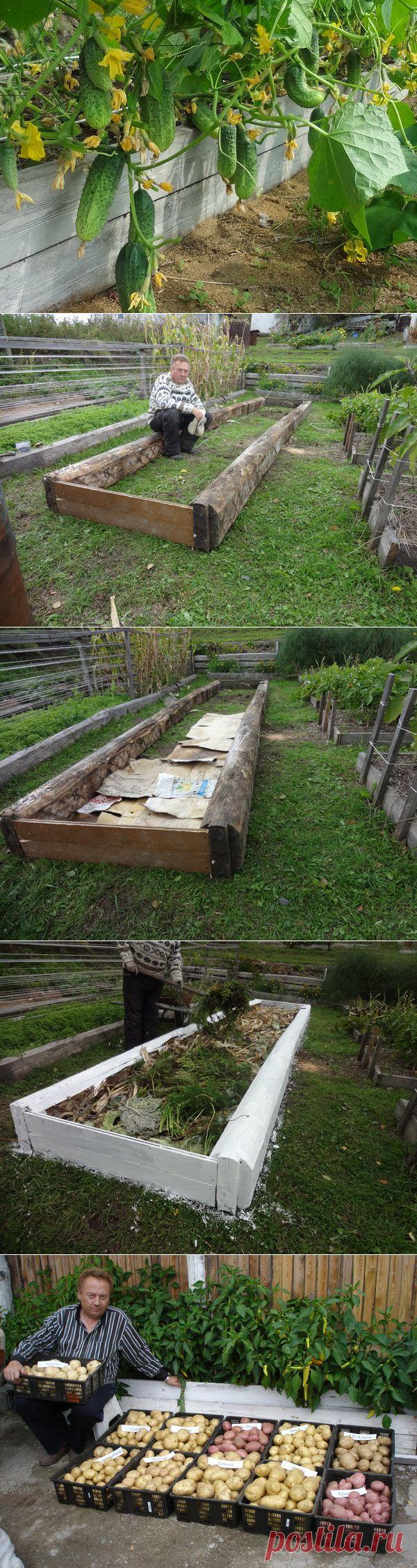 Поставить точку. Начать сначала. - Урожайные грядки от Игоря Лядова