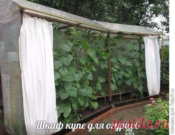 Чего только не придумают!!!
