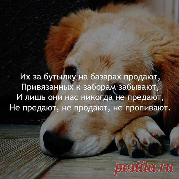 Злые мысли человечества