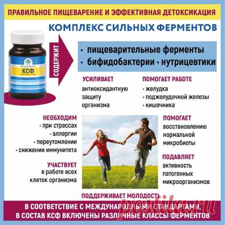 Комплекс Сильных Ферментов (КСФ)
Поддержка ферментной системы организма и регулирование процессов пищеварения Во всем мире КСФ...
Читай пост далее на сайте. Жми ⏫ссылку выше