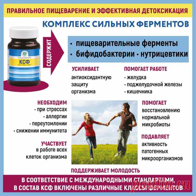 Комплекс Сильных Ферментов (КСФ)
Поддержка ферментной системы организма и регулирование процессов пищеварения Во всем мире КСФ...
Читай пост далее на сайте. Жми ⏫ссылку выше