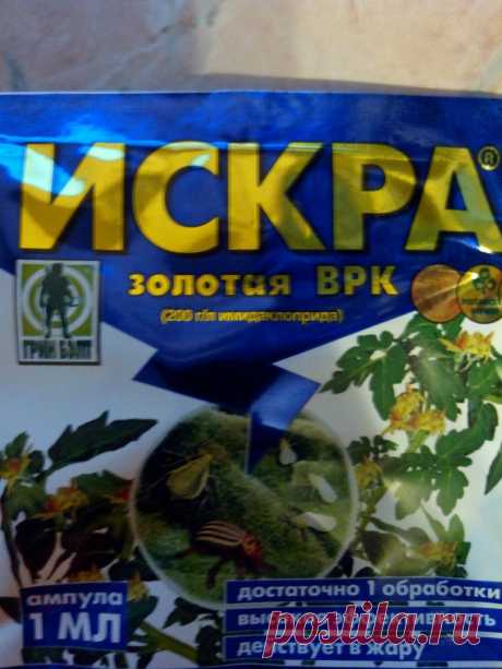 ОРХИДЕИ ФАЛЕНОПСИС, КАТТЛЕЯ и др. УХОД