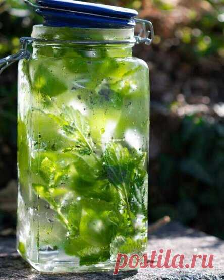 Компот мохито на зиму